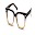 Opticals Manager Download on Windows