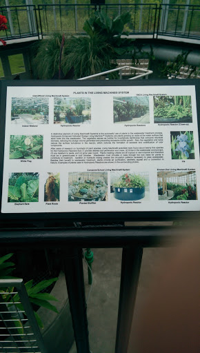 Plants in the Living Machine System