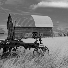 Old Barn & Plow by Brian Robinson - Black & White Objects & Still Life