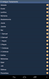 Spanish Holy Bible poster 7