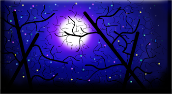 Moon Light 