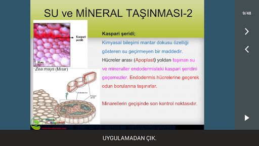 【免費教育App】Bitkilerde Taşıma-APP點子