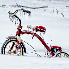 by Sue Myers Lucas - Novices Only Objects & Still Life