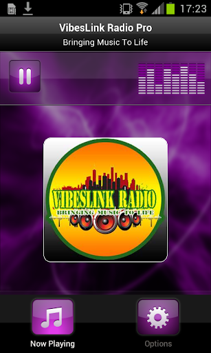 VibesLink Radio Pro