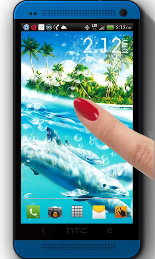 Dolphin Beach live wallpaper