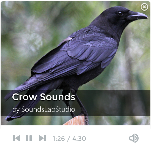 Crow Sounds 音樂 App LOGO-APP開箱王