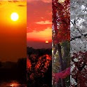 Wallpapers in Saitama, Japan logo