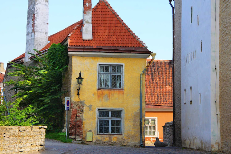 Lower town, Tallinn, Estonia. Tallinn, capital and largest city of Estonia, has about 434,000 residents. Many travelers visit as part of a Baltic cruise.