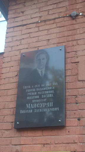 Майсурян Николай Александрович