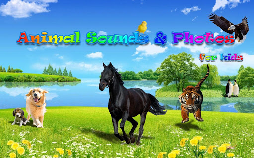 Animal Sounds Photos for Kids