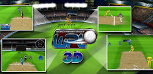 WPL Cricket APK