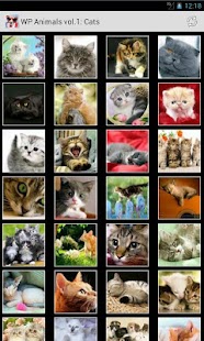 How to install Wallpapers Animals Series 1 patch 1.0 apk for laptop