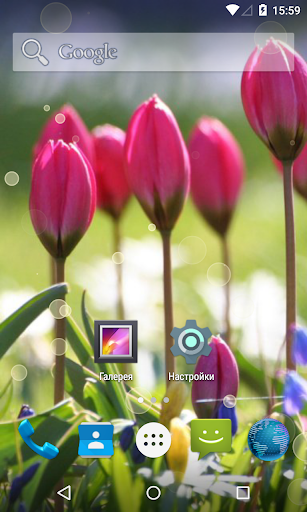 Spring Live Wallpaper