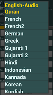 The Holy Quran Screenshots 20