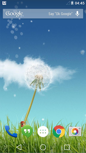 Dandelion Live Wallpaper