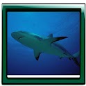 Underwater Best Photo Gallery logo