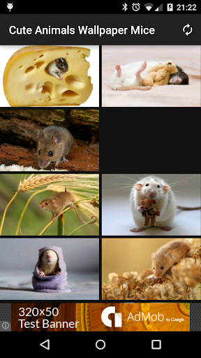 Cute Animals Wallpaper Mice