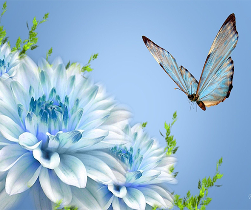 免費下載個人化APP|Butterfly Live Wallpaper app開箱文|APP開箱王