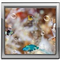 Dream aquarium Live Wallpaper