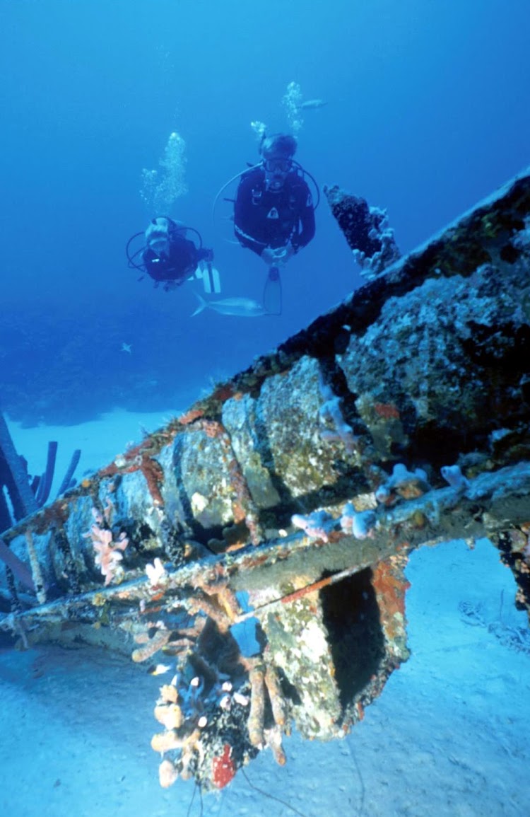 Scuba diving off the coast of Bonaire in the southern Caribbean.