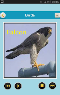 Lastest Birds and Animals voices APK for Android