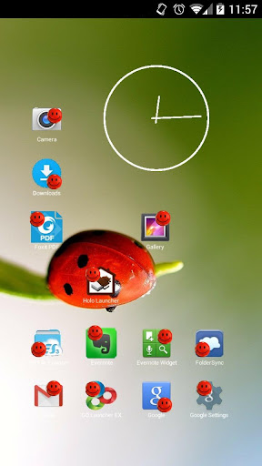 Smiley Red Face Icon Theme