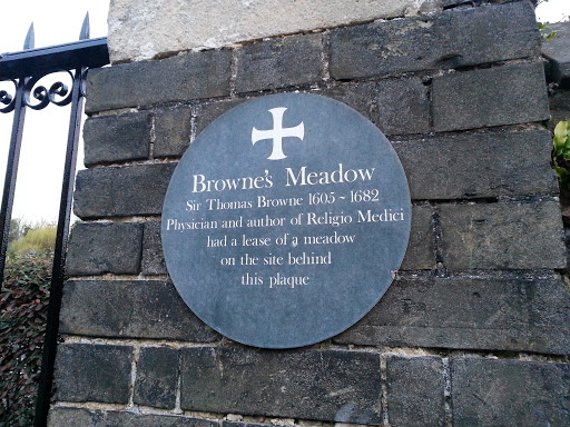 Browne's Meadow 