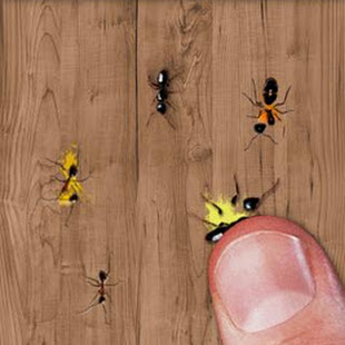 Gratis Download Ant Smasher Free Game Untuk PC
