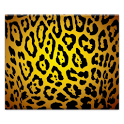 Leopard Print Wallpapers icon
