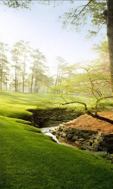 Augusta Wallpapers - Android Apps on Google Play