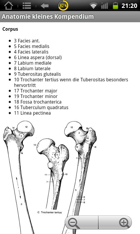 Physiokompendium Anatomie Screen 3