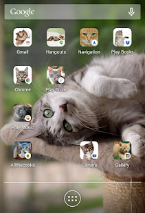 Icon Changer Cute Cats-Scleen