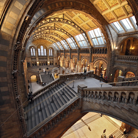 wide at NHM by Almas Bavcic - Buildings & Architecture Other Interior
