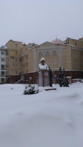 Саратов, СГУ, Памятник Н.Г.Чернышевскому