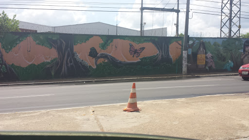 Grafitt Floresta Amazônica