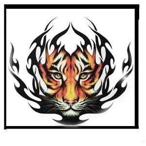 O Saltador De Montanhas - Demo.apk 0.0.1