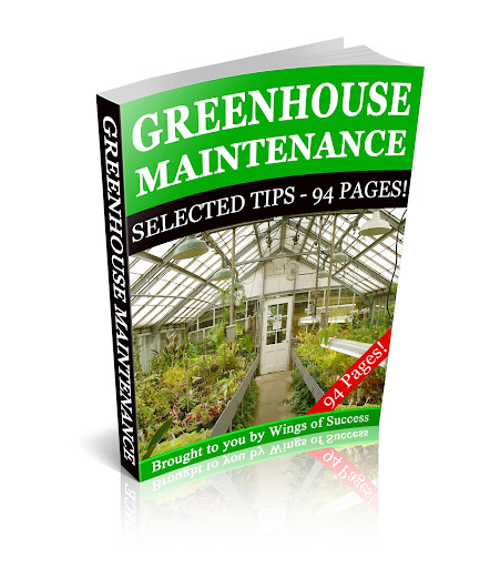 Greenhouse Girl (@greenhousescene) | Twitter