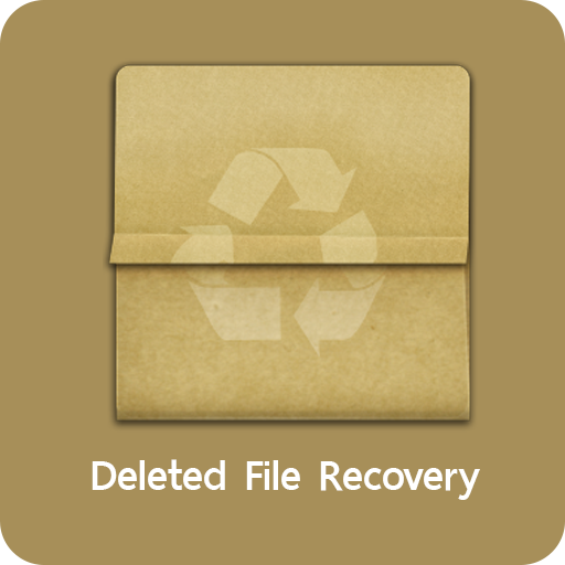 Deleted File Recovery