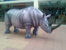 Rhino Albrook Mall
