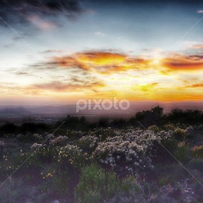Karoo Sunrise to mark last day. by Neil Brown - Landscapes Sunsets & Sunrises