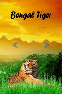 Download Animal Sounds Kids Play APK for Android