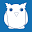 NexOkO Download on Windows