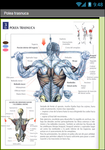 Entrenamiento de Espalda