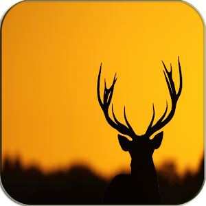Deer Keyboard 1.07