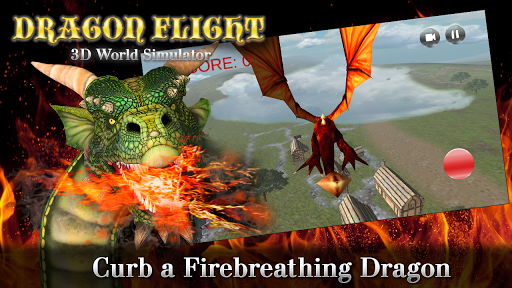 Dragon Flight - 3D World Sim