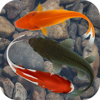 Ikon Beautiful Fish Screensaver Fre APK