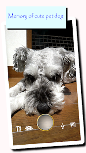 How to download No Sound Camera【Silent Camera】 V2.4.0 unlimited apk for laptop