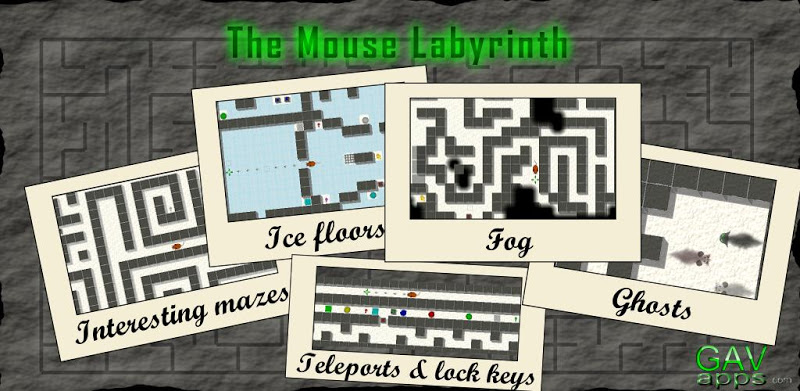 The Mouse Labyrinth
