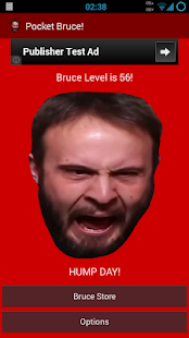 Download Pocket Bruce! APK for Android