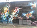 Birds Grafitti